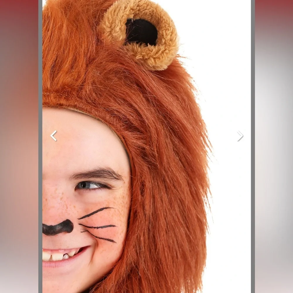 Cowardly Lion Wizard of Oz Boy Halloween Costume Realistic Mane Small 6-7 - Picture 6 of 16
